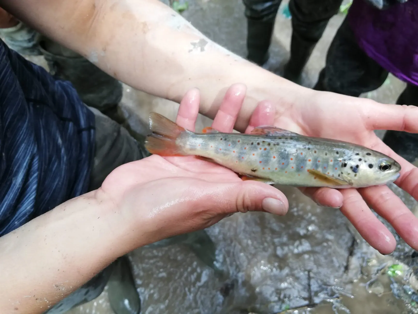 Fête de la Pêche à Le Vernet