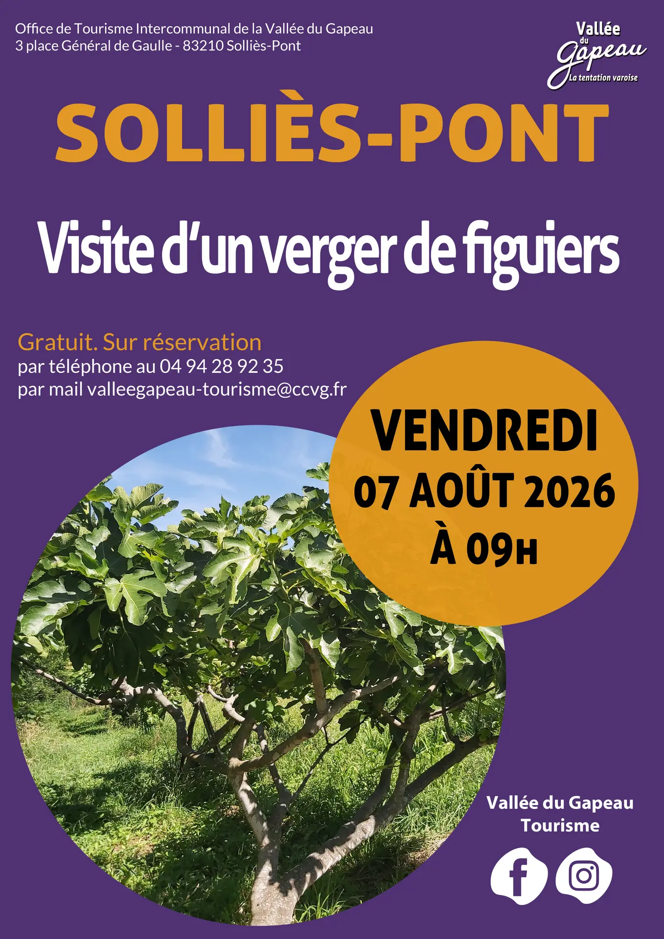 Visite d’un verger de figuiers