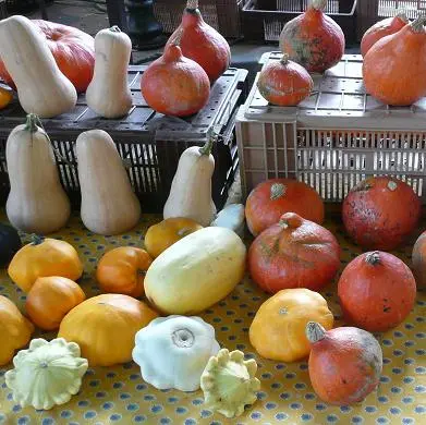 Marché Provençal