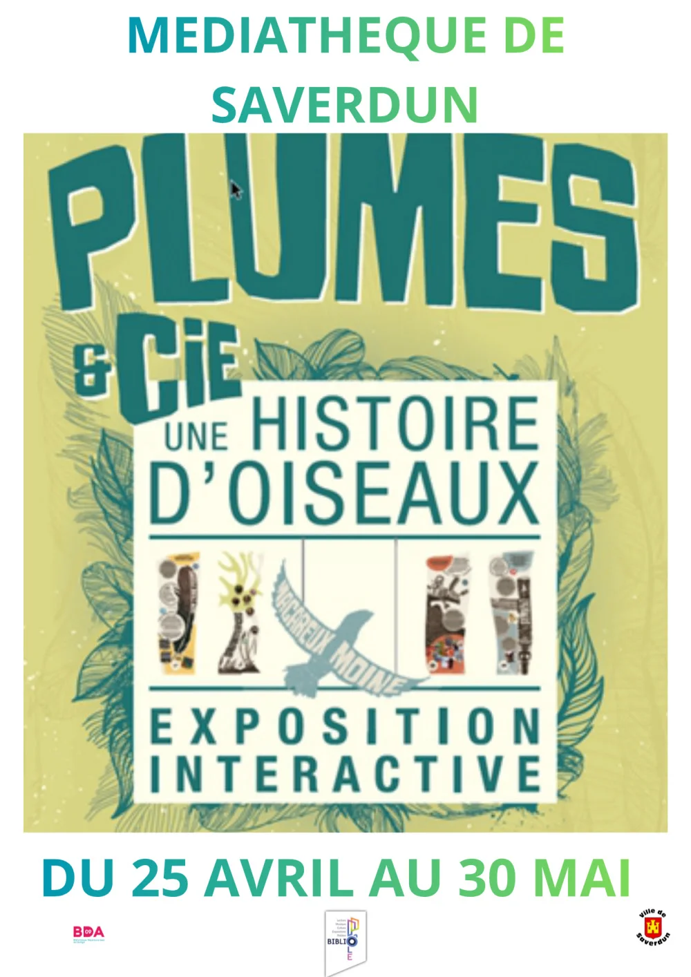 Exposition « Plumes & Cie : Une histoire d’oiseaux »