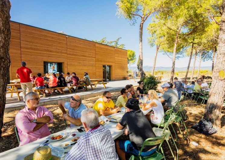 BALADES VIGNERONNES EN GRAND CARCASSONNE – DOMAINE DES HOMS