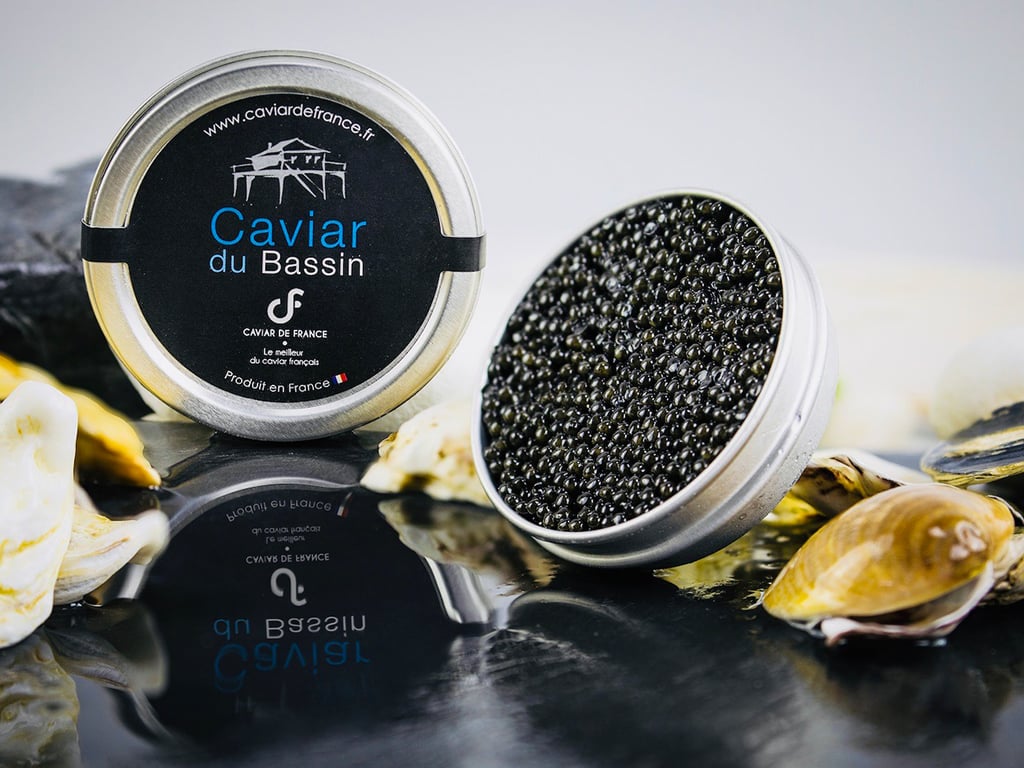 Les secrets du caviar : visite d'une esturgeonnière