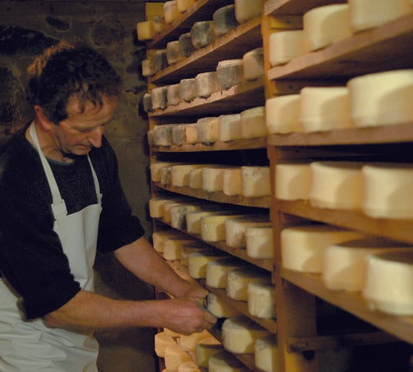 Visite guidée – Promenons-nous dans les champs : du sarrasin au fromage
