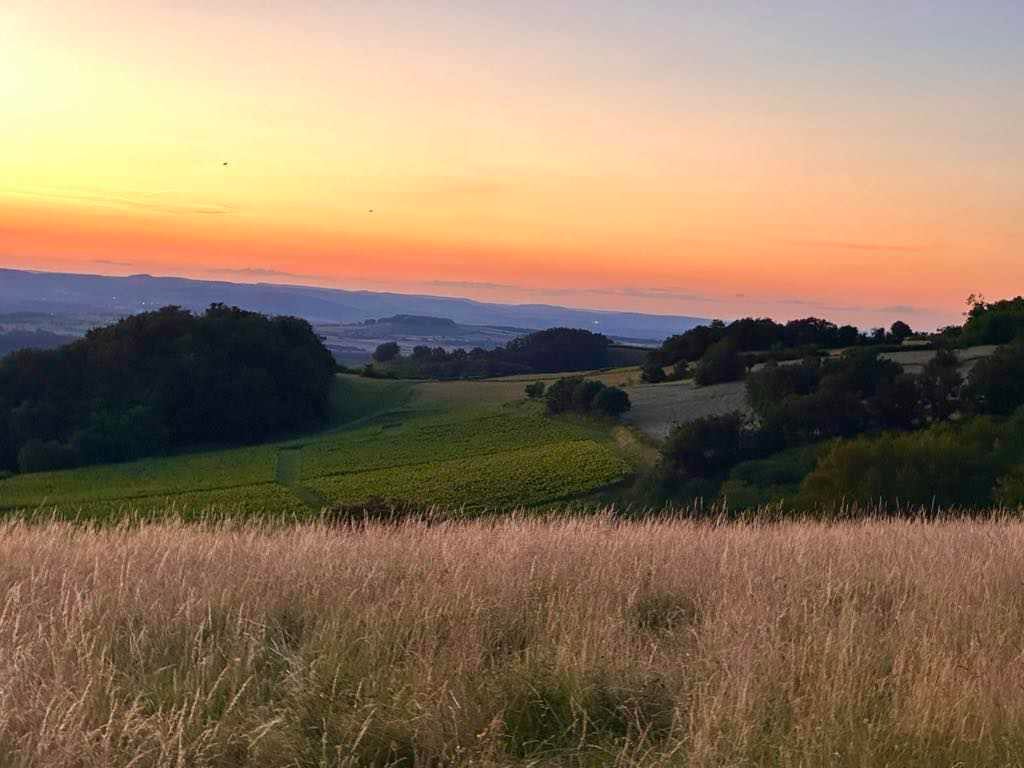 Randonnée Cheval au crépuscule dans le Clunisois