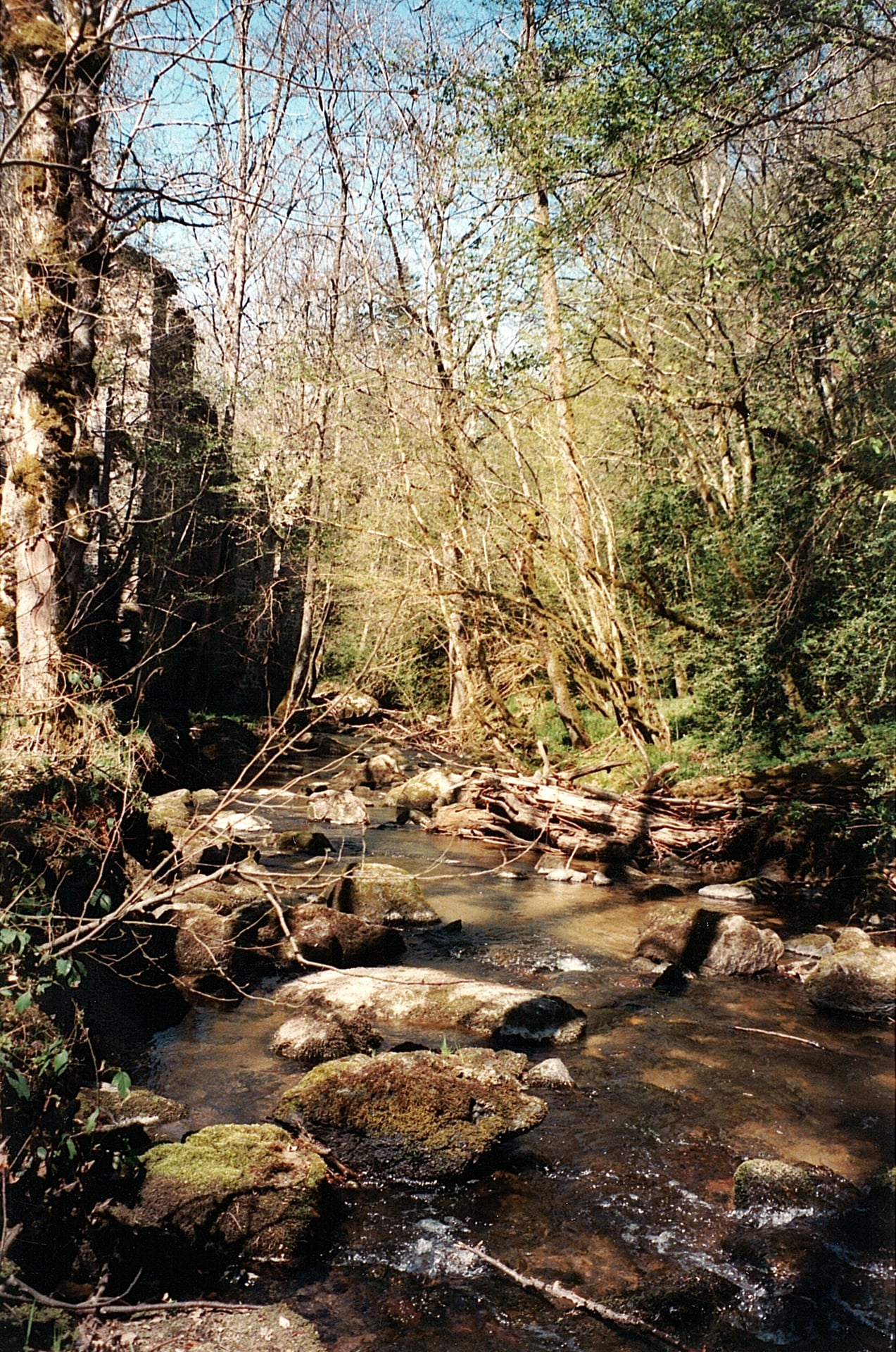 Atelier en famille - Meunier tu dors ?