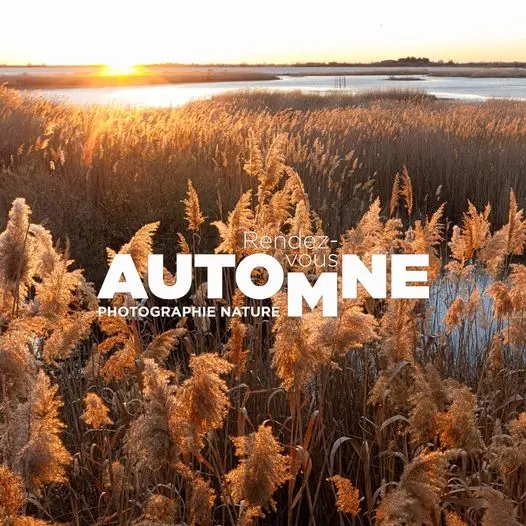 Rendez-vous Automne  - Photographie Nature