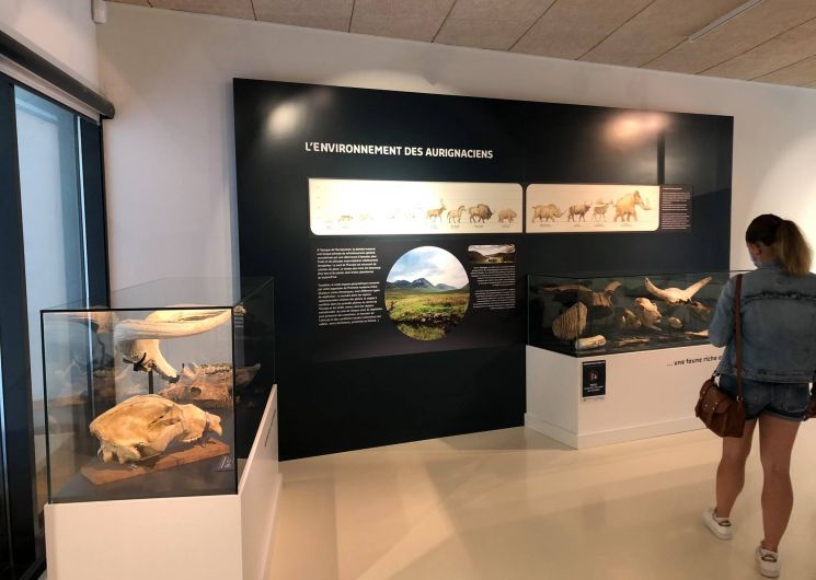 VISITE COMMENTEE DU MUSEE DE L’AURIGNACIEN