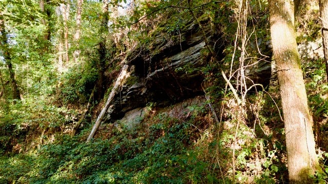 Sortie printanière au Moulin des Fougères