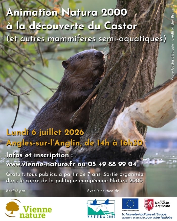Animation Natura 2000 à la découverte du Castor (et autres mammifères semi-aquatiques)