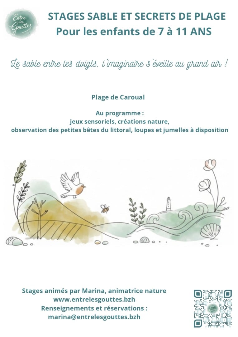 Sable et Secrets de la plage