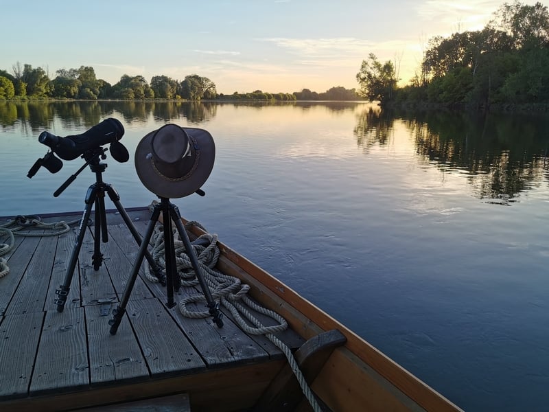 Balade Loire et pique-nique : La Loire au crépuscule