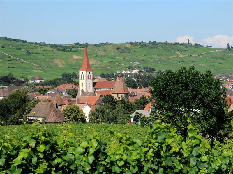 Pique-nique chez le vigneron indépendant - Domaine Simonis Jean Marc