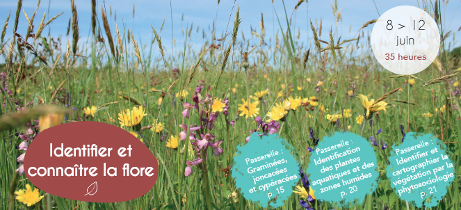 identifier et connaître la flore