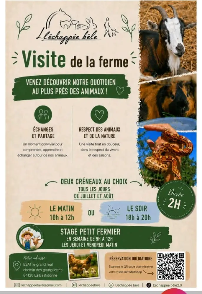 L'échappée bêle à la Bastidonne.