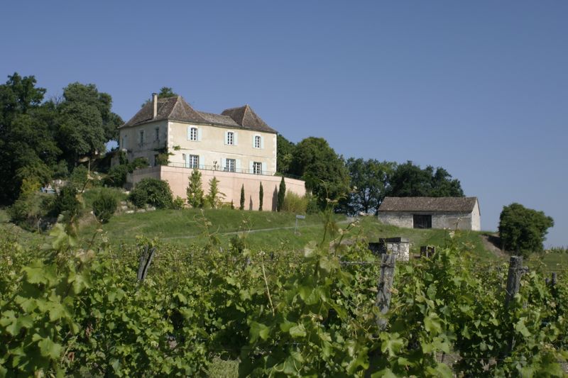 Visite bout de rang et dégustation | Domaine de l'Ancienne Cure