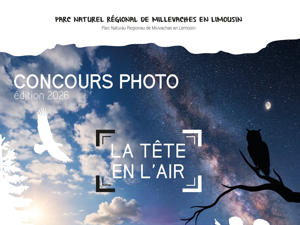 CONCOURS PHOTO