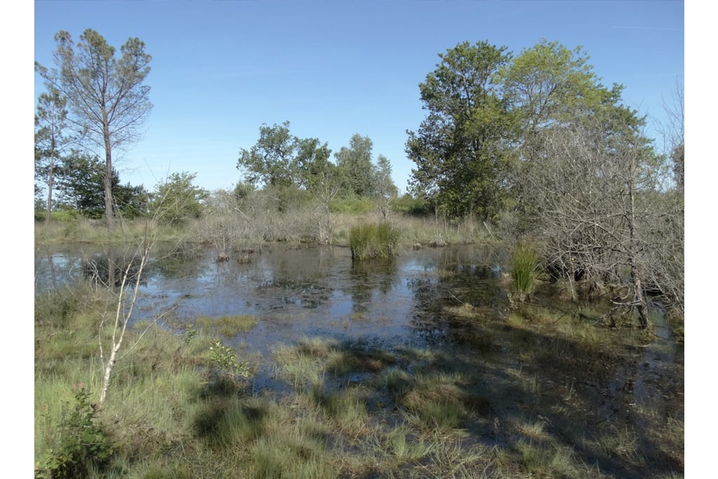 La gestion écologique des lagunes