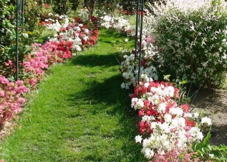 JEP 2026 : Parc Floral des Camellias