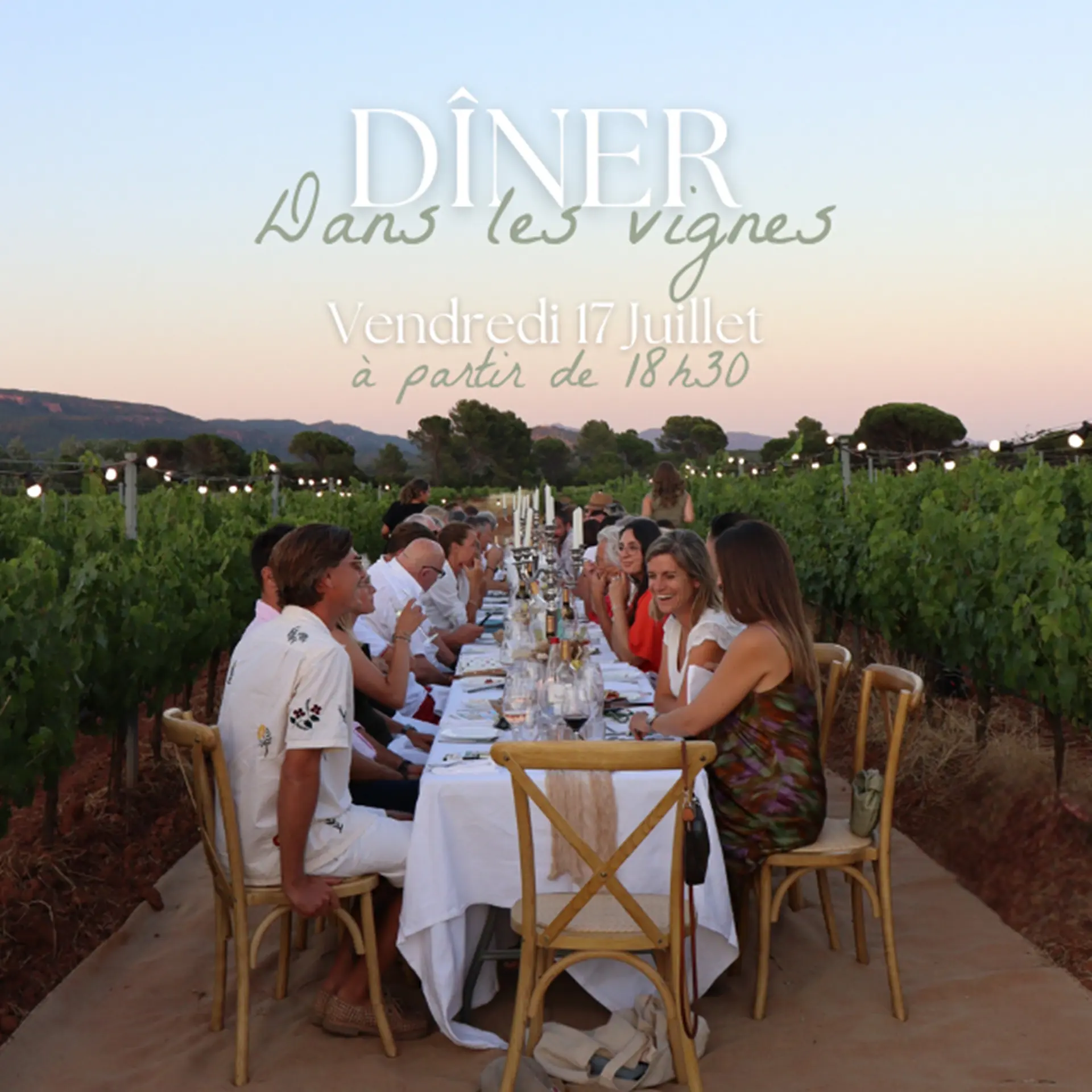 Diner dans les vignes