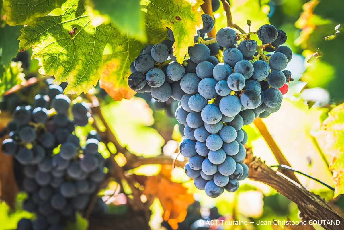 "La familliale" au Château de l'Aulée