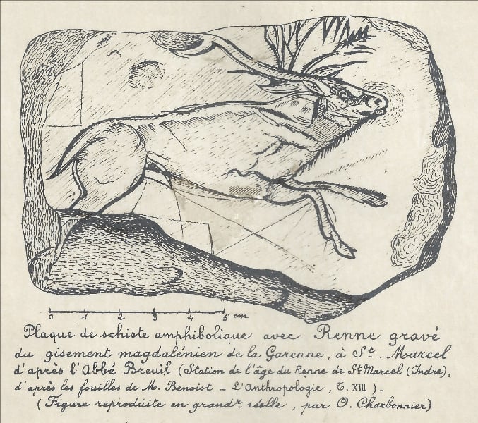 Visite au musée : les salles de la préhistoire