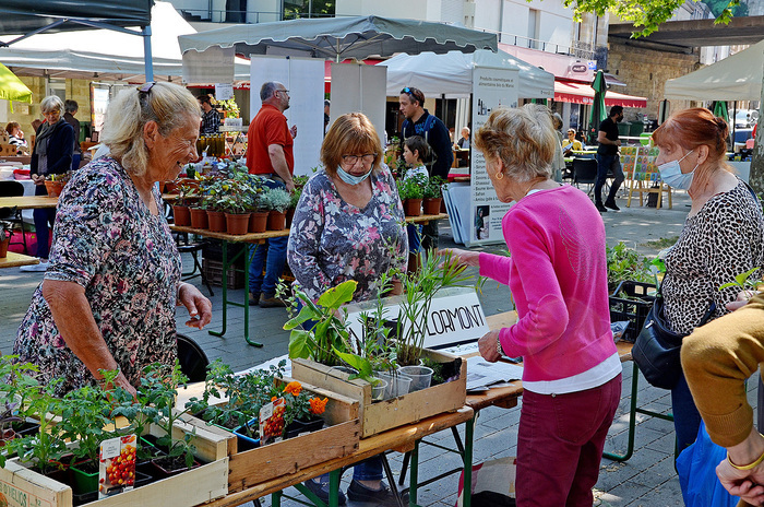 Marché de printemps