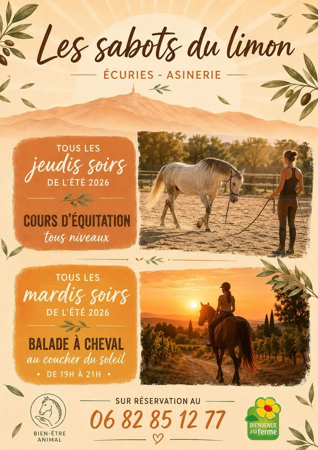 Cours d'équitation tous niveaux - Les sabots du limon