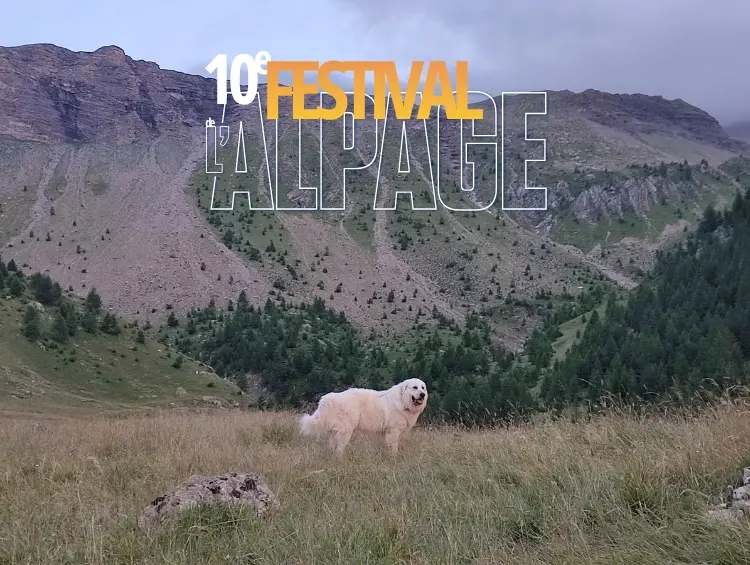 Festival de l'Alpage : Information et communication sur les chiens de protection à Prapic