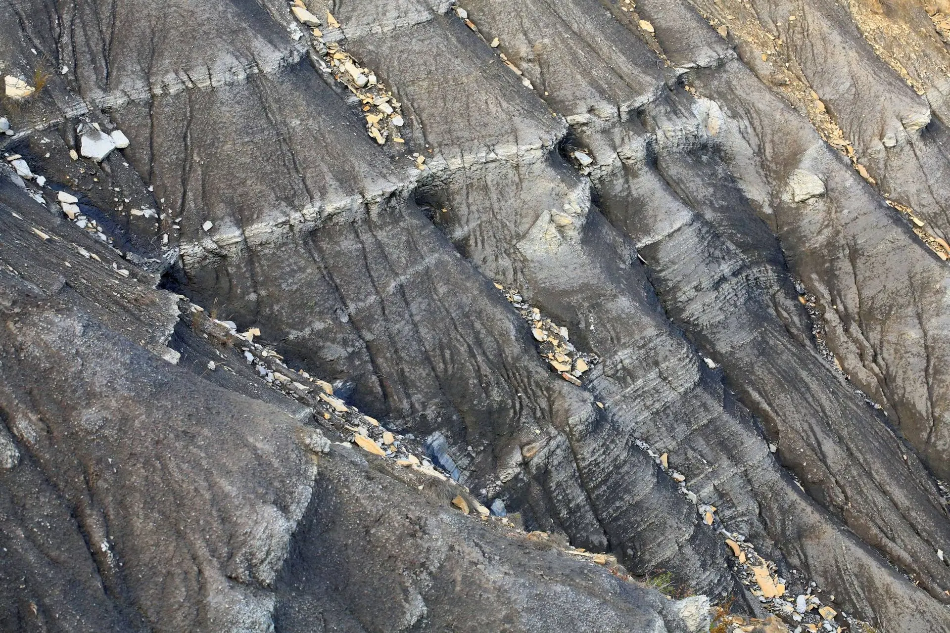 Découverte de la géologie