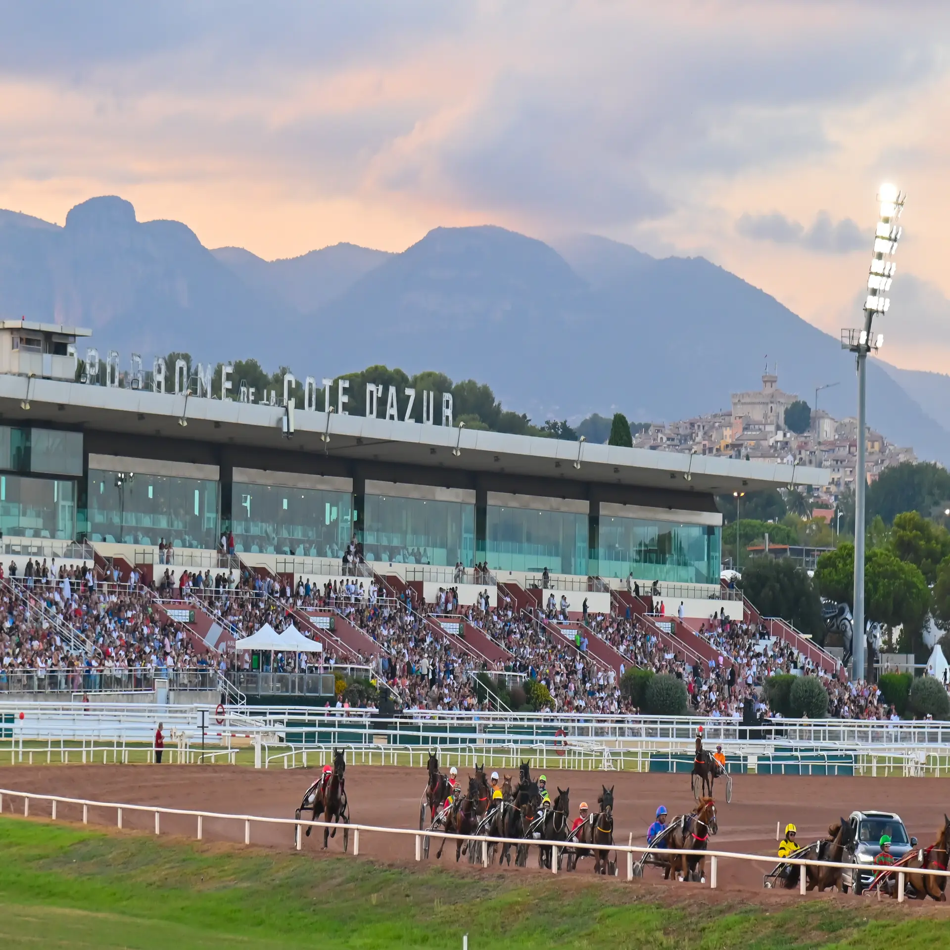 Les Nuits d’été à l’Hippodrome - Meeting hippique d'été