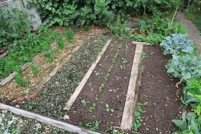 Jardinons ! Créer un potager en 3 heures