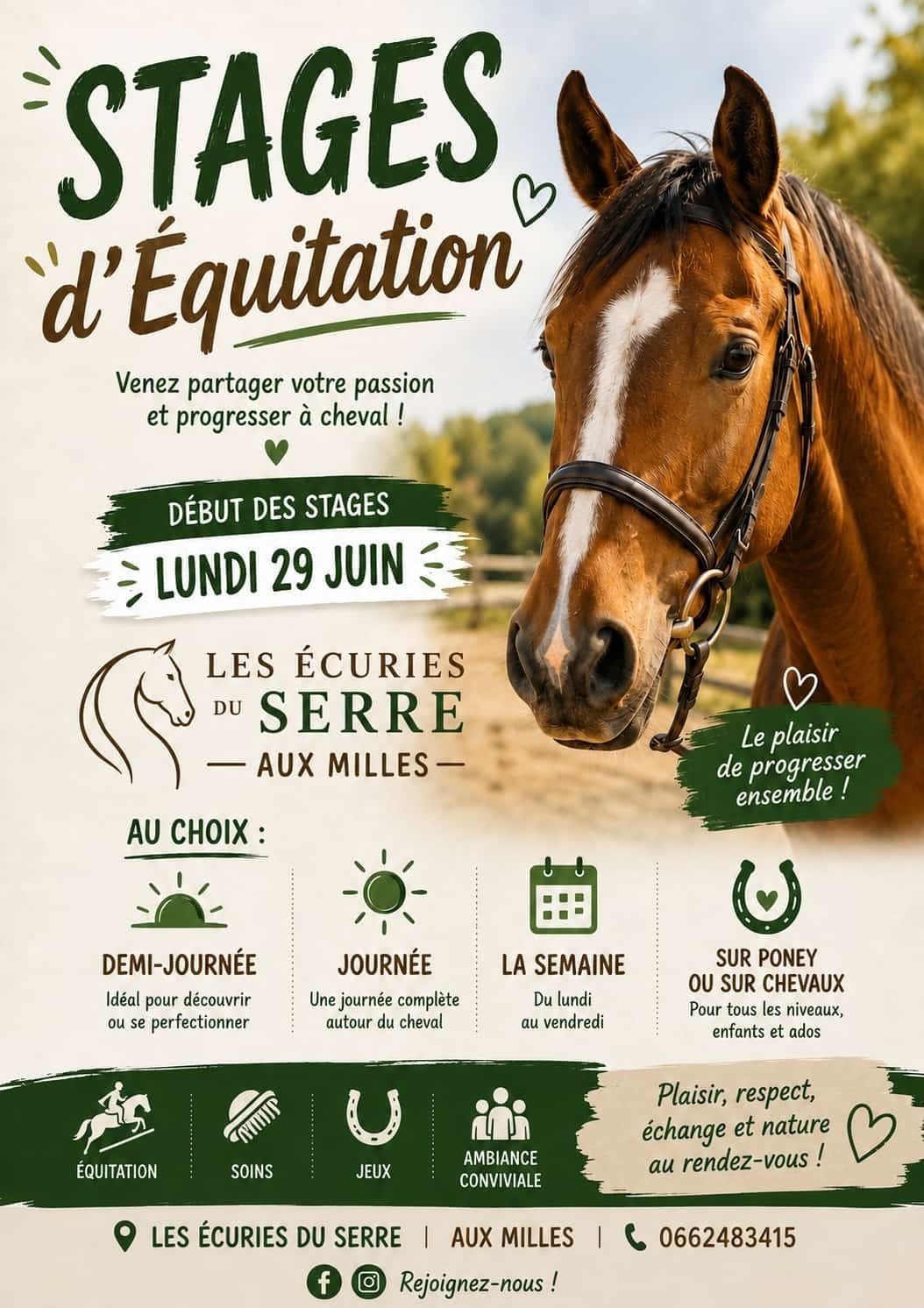 Stages d'Équitation aux Écuries du Serre