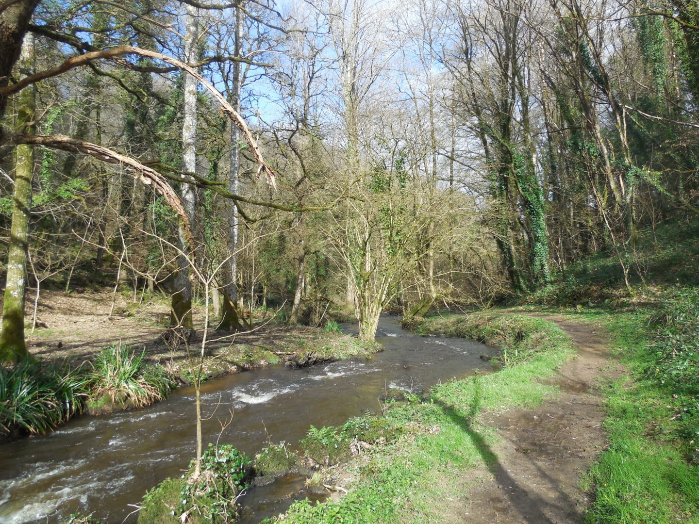 Vivez la douceur du ruisseau Saint Ethurien (en anglais)