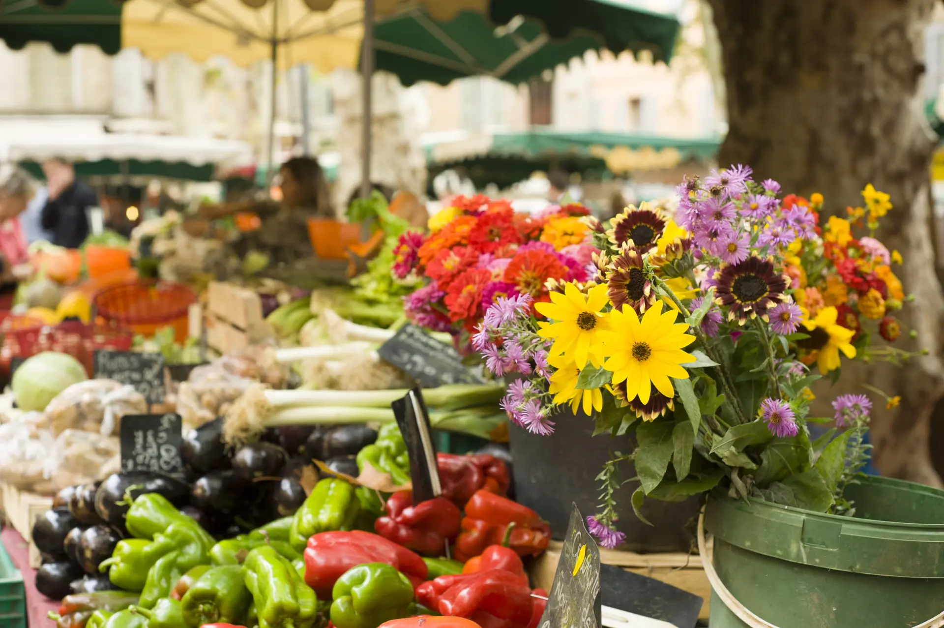 Marché hebdomadaire de Saint-Martin-de-Crau