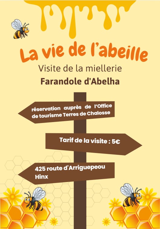 La vie de l'abeille - visite d'une miellerie