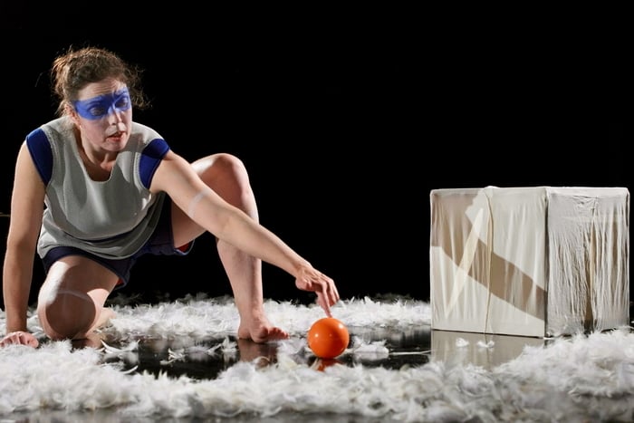 Il reste des plumes sur le sol