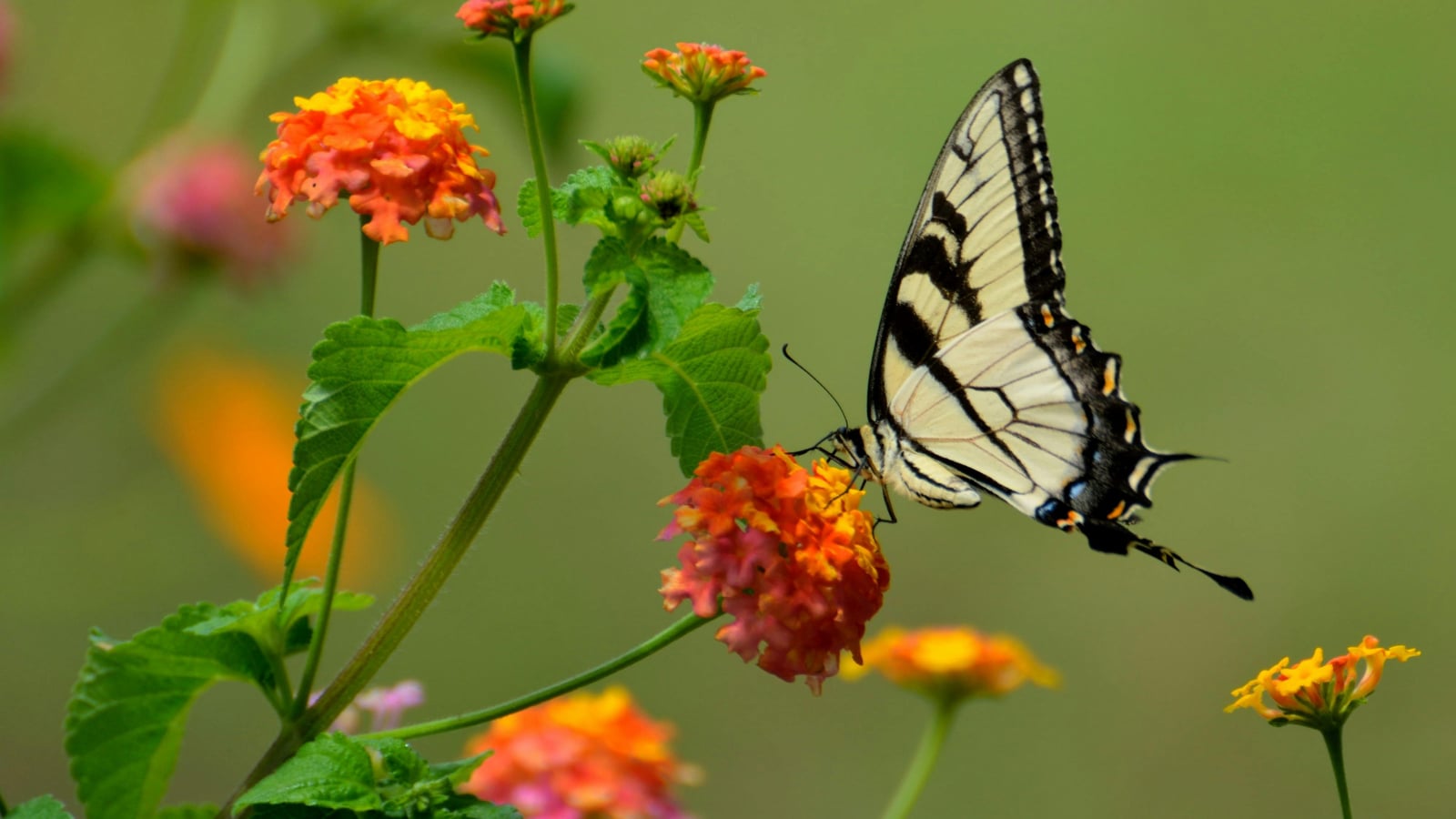 Nuit des Musées à Beautiran