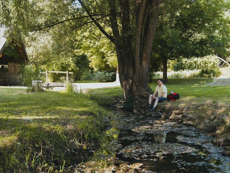 Les Rendez-vous Nature - Murmures, contes en musique