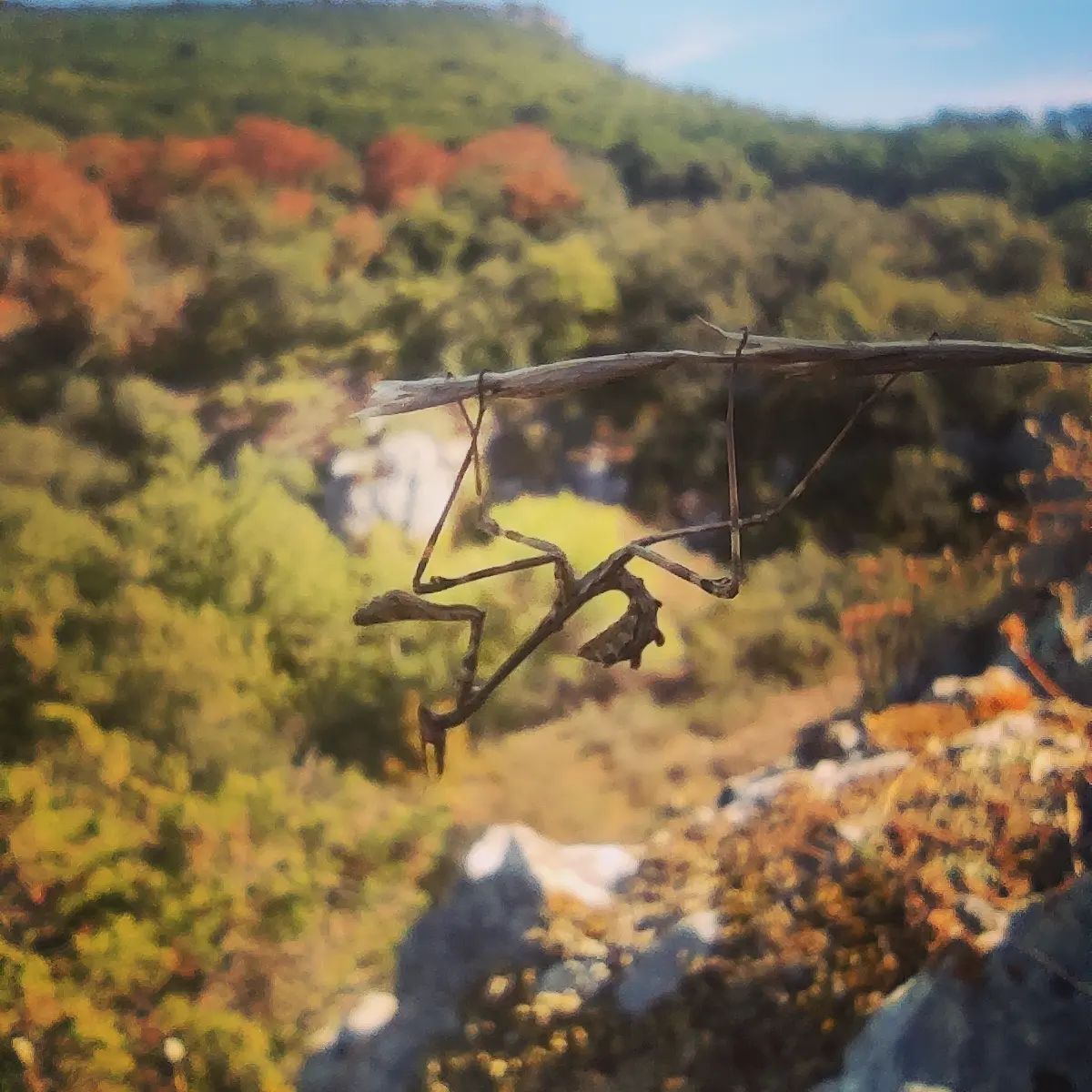 Mardi matin j'ai rando