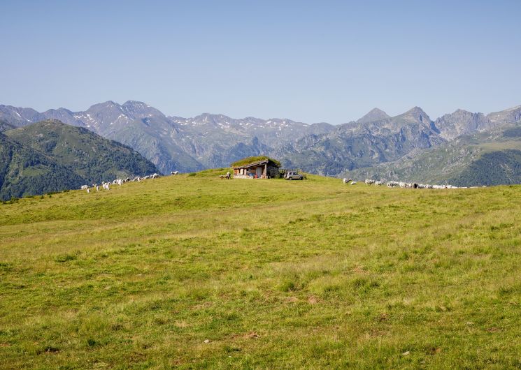 Balade à Beille