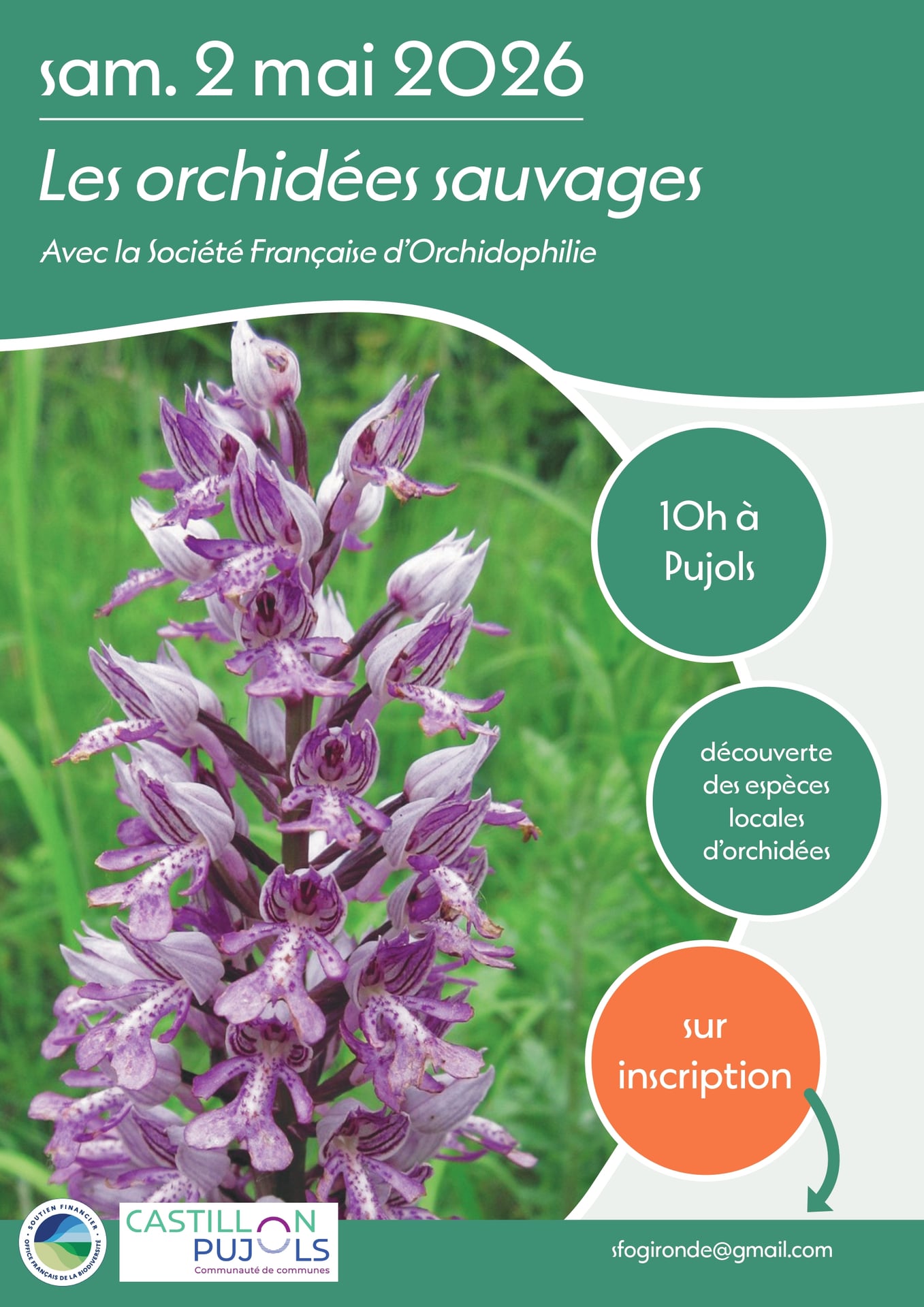 Les orchidées-sauvages