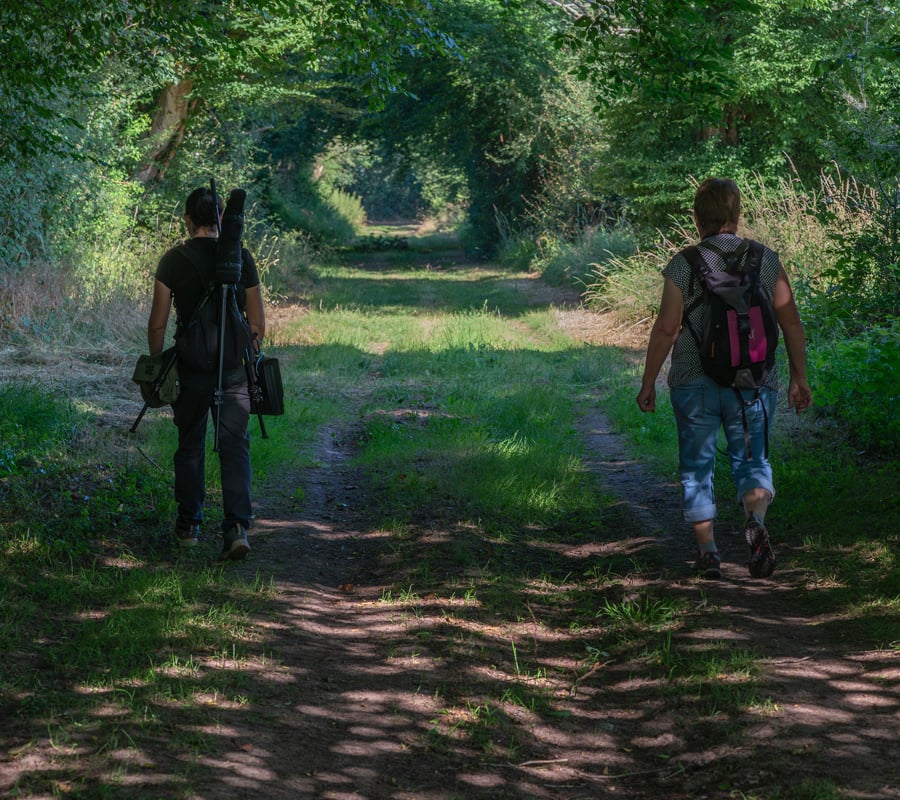 Visite crépusculaire du bocage