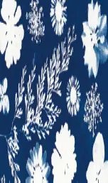 Cyanotype - Atelier
