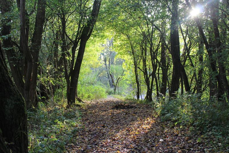 Balade contée - Réserve naturelle du delta de la Sauer