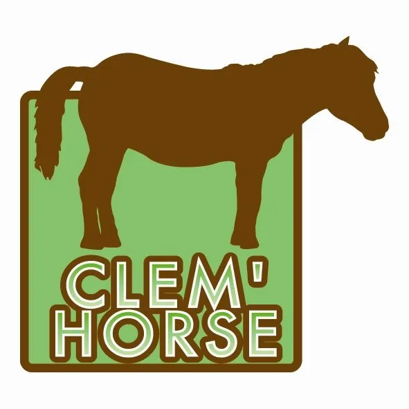 Activités équestres avec Clem'Horse du 20 au 30 avril  2026