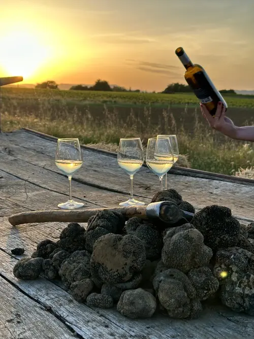 Soirée truffes & huile d’olive au cœur du Luberon au Moulin Bastide du Laval à Cadenet