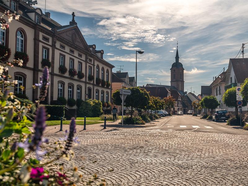 Visite commentée de Reichshoffen