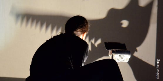 L'affaire méchant loup