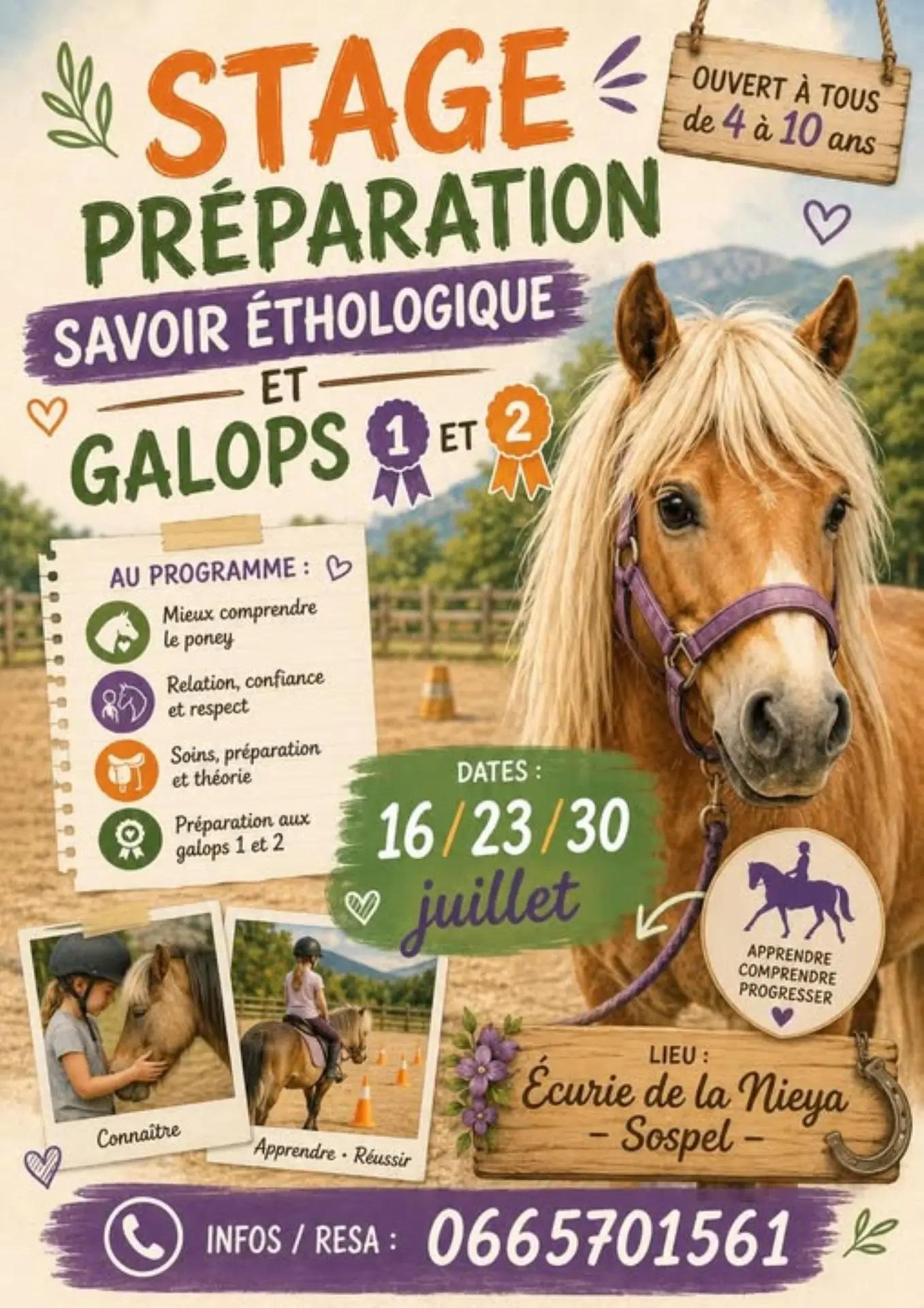 Stage préparation savoir éthologique et galops 1 et 2