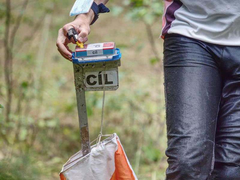 Championnat de France de course d'orientation